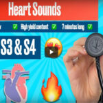 Learning to diagnose heart problems from heart sound for beginners