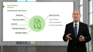 57941425-9617-l__4556