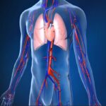 Catheter Ablation: What is it and how does it help an irregular heart beat?