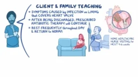 Endocarditis Clinical Nursing Care