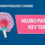 GCS Glasgow Coma Scale, LOC Level of Consciousness | Neuro Patho Key Terms