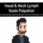 Head Neck Lymph Node Palpation - OSCE Guide