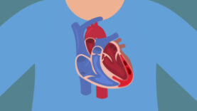 Myocarditis Causes, symptoms, diagnosis, treatment and prognosis Kenhub