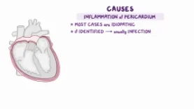 Pericarditis Clinical Nursing Care
