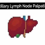 Axillary Lymph Node Palpation - OSCE Guide | Clip | UKMLA | CPSA