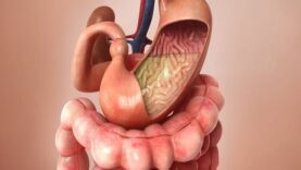 Aspirin Journey through the body