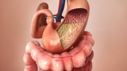 Aspirin Journey through the body