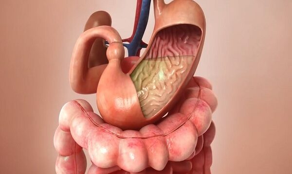 Aspirin Journey through the body