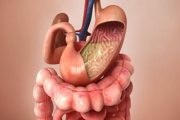 Aspirin Journey through the body