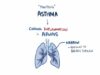 Asthma – causes, symptoms, diagnosis, treatment, pathology