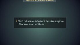 Blood cultures