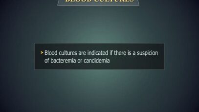 Blood cultures