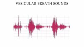 Complete Breath sounds- Normal-Abnormal Lung Sounds, Types Conditions
