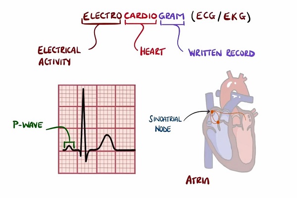 ECG Interpretation Made Easy (Learn How to Interpret an ECG in 13 Minutes)