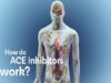 How do ACE inhibitors work.