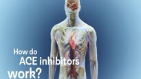 How do ACE inhibitors work.
