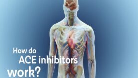 How do ACE inhibitors work.