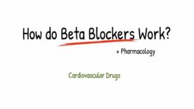 How do Beta Blockers Work.