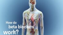 How do beta blockers work