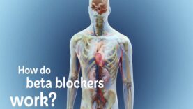 How do beta blockers work
