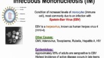 Infectious Mononucleosis (Mono) – Epstein-Barr Virus, Transmission, Symptoms, Diagnosis, Treatment