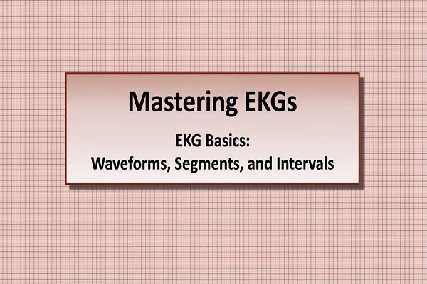 Intro to EKG Interpretation – Waveforms, Segments, and Intervals