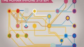 Measles Explained — Vaccinate or Not.