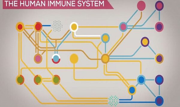 Measles Explained — Vaccinate or Not.