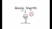 Pharmacology – ALPHA BETA BLOCKERS – ADRENERGIC ANTAGONISTS