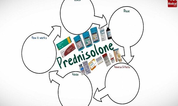 Prednisolone 5mg (Orapred)- What Is Prednisolone Used For. Uses, Dose Side Effects of Prednisolone