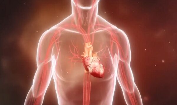 Recognizing a heart attack – 3D Animation