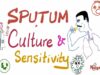 Sputum Culture and Sensitivity – Sputum Sample – Labs