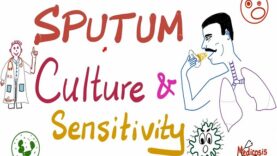 Sputum Culture and Sensitivity – Sputum Sample – Labs