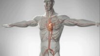 The Difference Between Cardiac Arrest, Heart Attack, and Heart Failure – 3D Animation