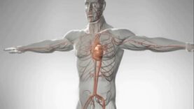The Difference Between Cardiac Arrest, Heart Attack, and Heart Failure – 3D Animation