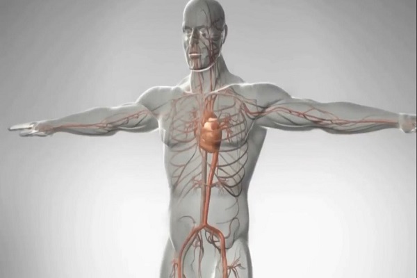 The Difference Between Cardiac Arrest, Heart Attack, and Heart Failure – 3D Animation