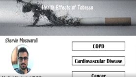 The effect of smoking on health
