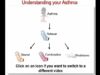 Understanding Your Asthma