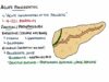 Acute Pancreatitis – Causes, Signs Symptoms, Pathophysiology, Diagnosis