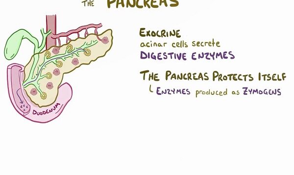 Chronic pancreatitis – causes, symptoms, diagnosis, treatment, pathology