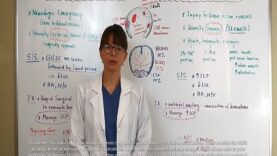 Epidural and Subdural Hematoma