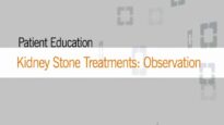 Non-surgical Approach to Kidney Stones