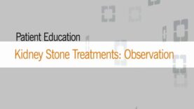 Non-surgical Approach to Kidney Stones