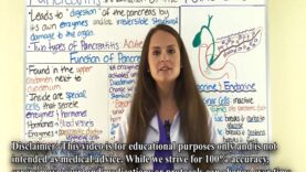 Pancreatitis – Acute and Chronic Pancreatitis Nursing Lecture Symptoms, Treatment, Pathophysiology