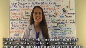 Peptic Ulcer Disease Nursing, Pathophysiology, Treatment – Gastric Ulcer vs Duodenal Ulcer