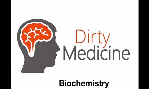 Electron Transport Chain (Oxidative Phosphorylation)