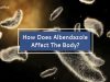 How Does Albendazole Affect The Body.