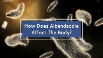 How Does Albendazole Affect The Body.