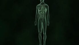 How diabetes destroys the human body