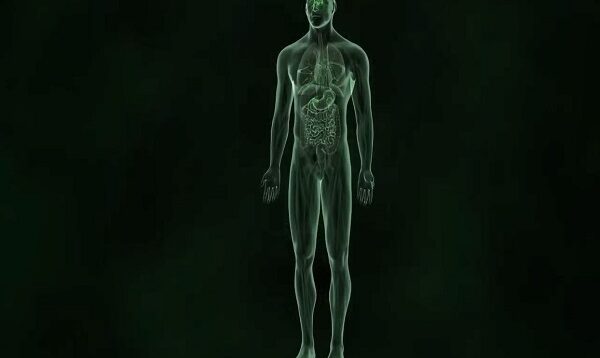 How diabetes destroys the human body
